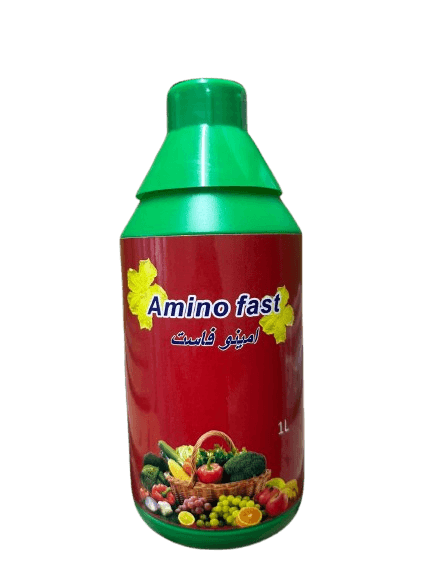 امينو فاست