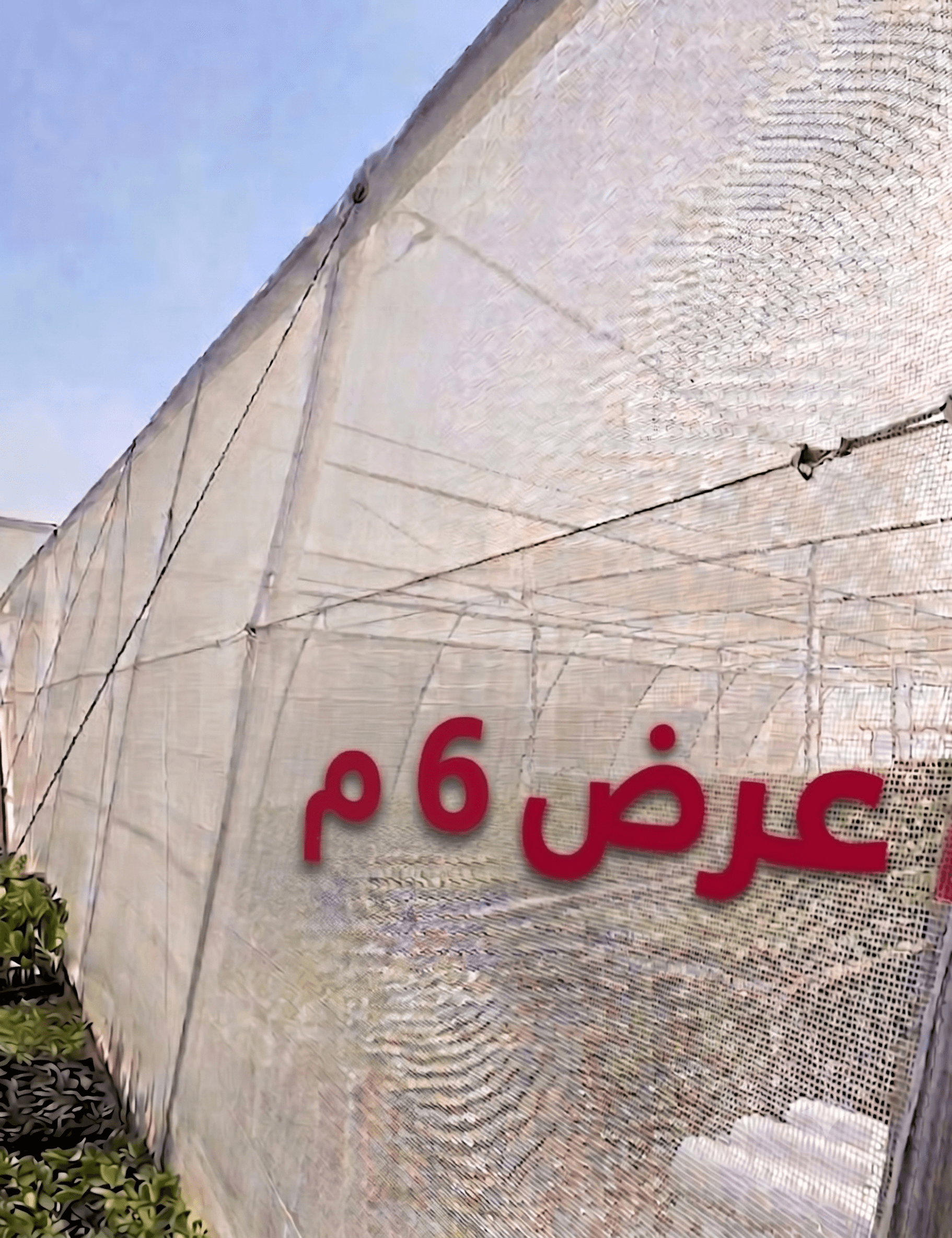ريشت أبيض شفاف عرض 6 م