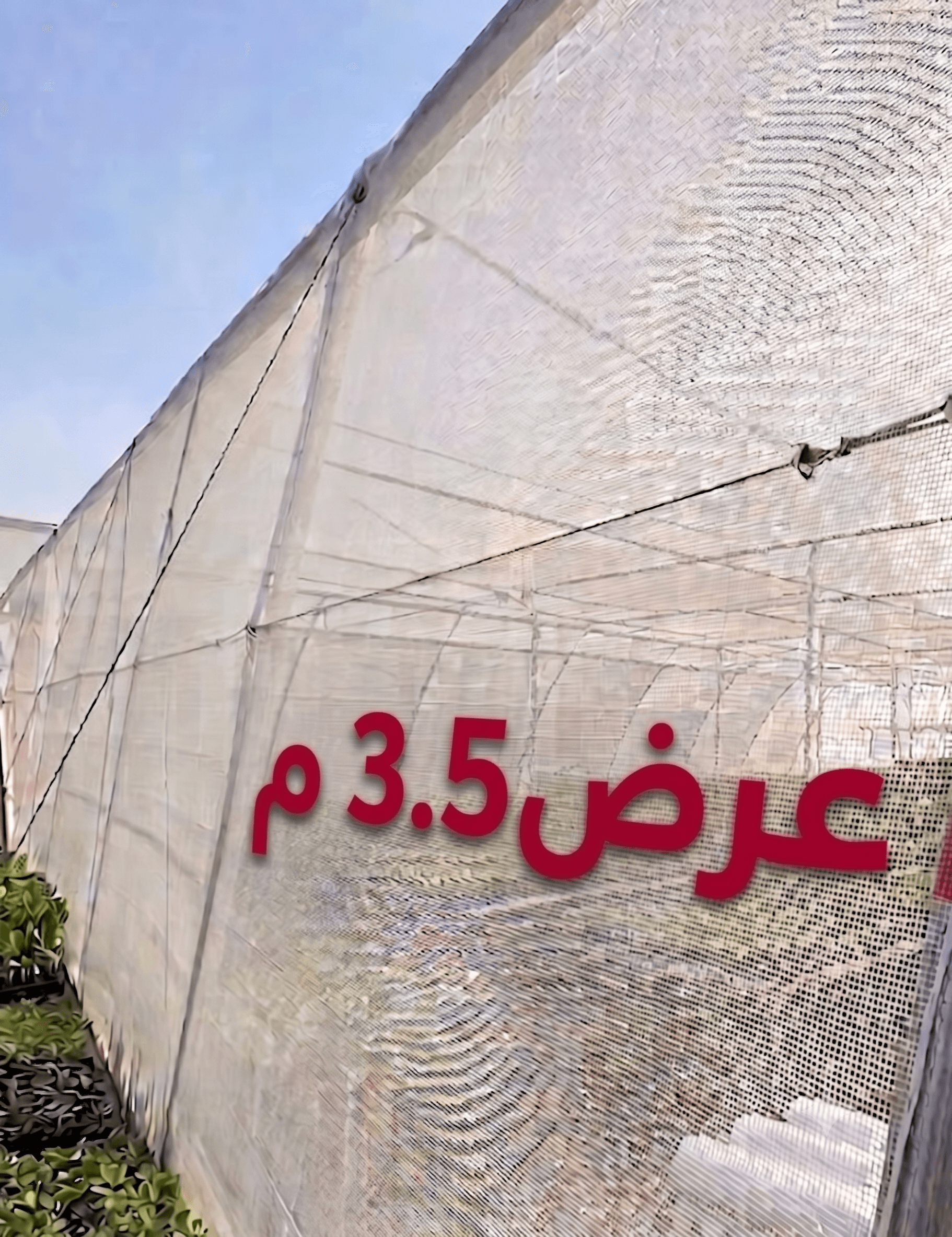 ريشت ابيض شفاف عرض 3.5 طول 100م