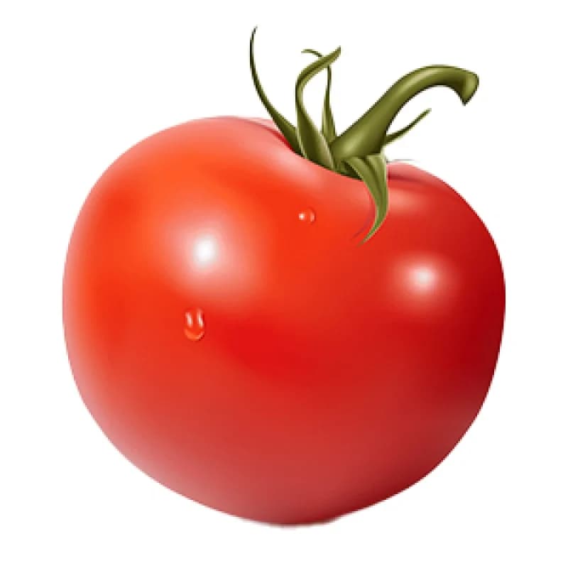 بندورة جوليا
