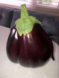 بذنجان شنتات